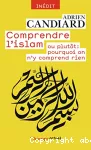 Comprendre l'islam ou plutôt pourquoi on n'y comprend rien