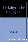 Le labyrinthe du Jaguar